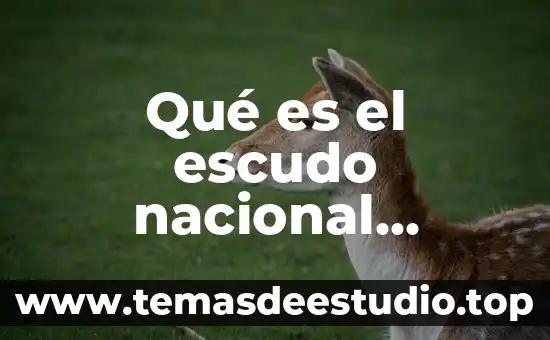 Qué es el escudo fiscal ejemplos 5 Qué es el escudo nacional definición