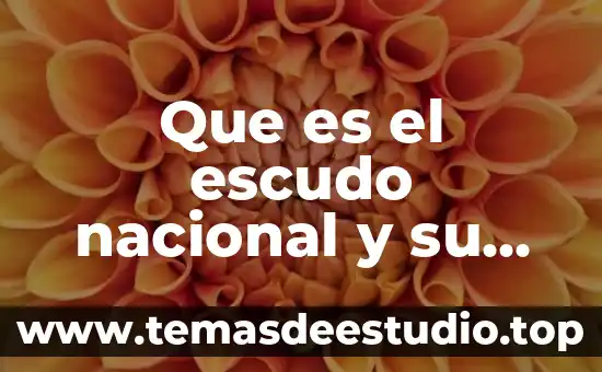 Qué es el escudo fiscal ejemplos 4 Que es el escudo nacional y su símbolos