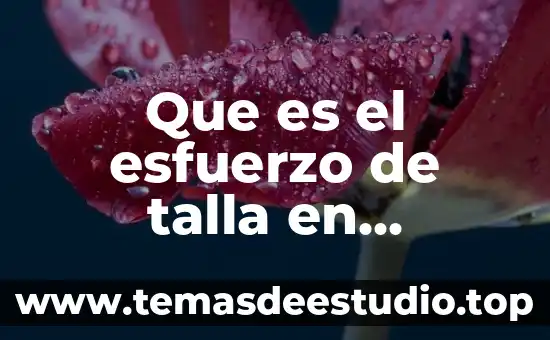 Que es el esfuerzo de talla en mecanica de solidos