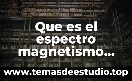 Que es el polo norte relacionado con el magnetismo 3 Que es el espectro magnetismo definicion