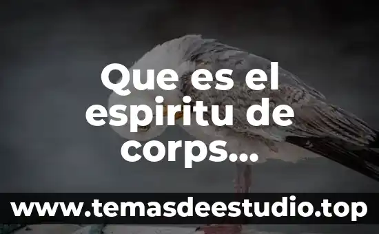 Que es ser bautizado en espiritu santo y fuego 6 Que es el espiritu de corps definicion