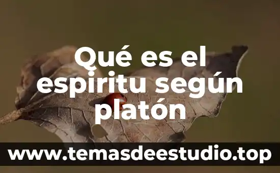 Que es ser bautizado en espiritu santo y fuego 3 Qué es el espiritu según platón
