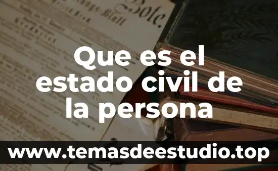 Qué es una sociedad civil Susana Dávalos 8 Que es el estado civil de la persona