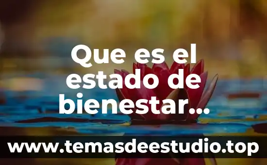 Que es el estado de bienestar segun autores