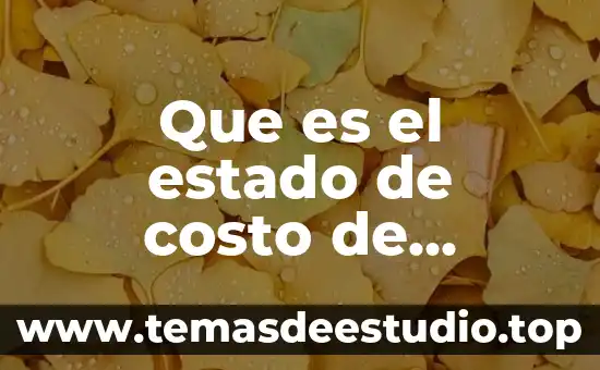 Que es el estado de costo de manufactura