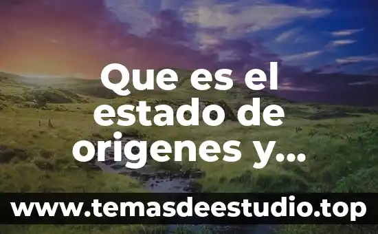 Estado tipo no integro que es 4 Que es el estado de origenes y aplicaciones