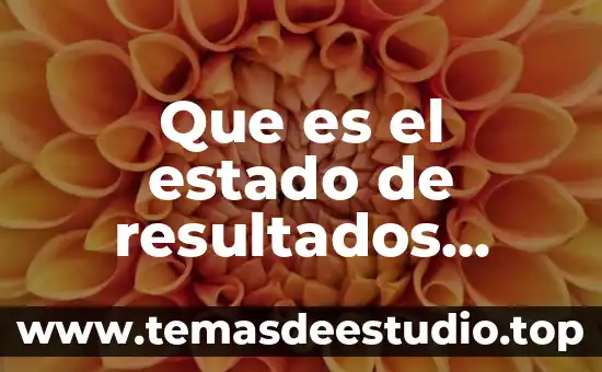 Que es el estado de resultados introduccion y desarrollo