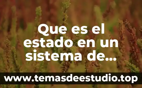 Que es la teoría del control cultural 5 Que es el estado en un sistema de control