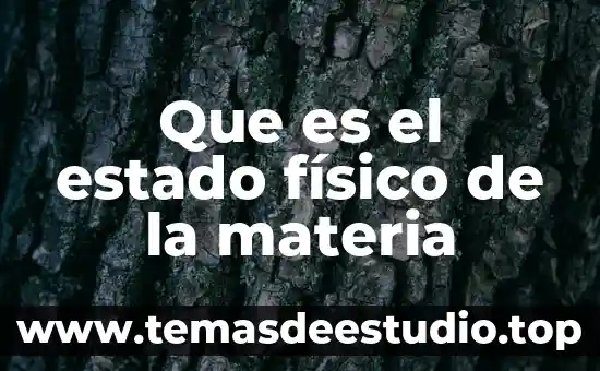 Estado tipo no integro que es 3 Que es el estado físico de la materia