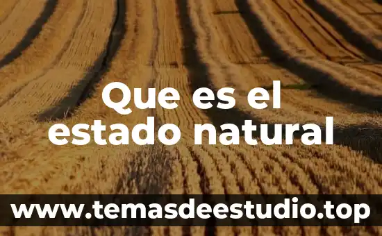 Que es el estado natural