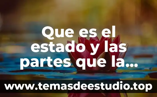Que es el estado y las partes que la integran