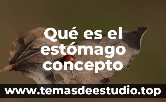 Que es el fracking yahoo 7 Qué es el estómago concepto