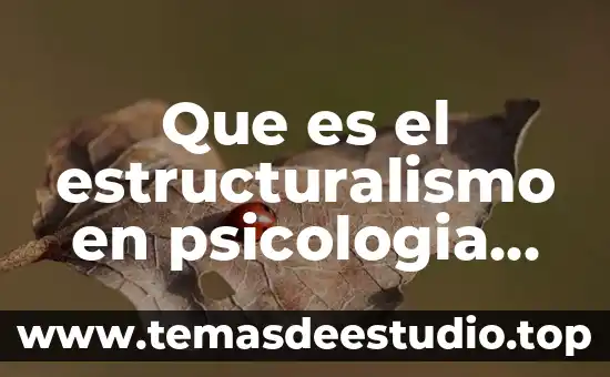 Que es el estructuralismo en psicologia yahoo