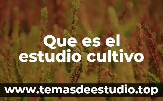 Que es la cultura y cultivo 4 Que es el estudio cultivo