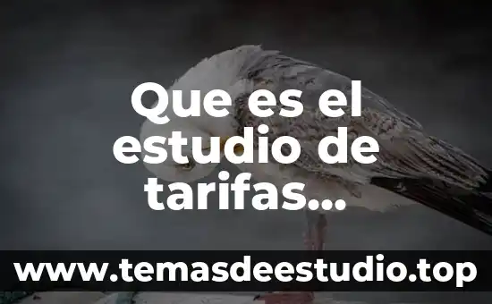 Que es una terminal aere instalaciones electricas 7 Que es el estudio de tarifas electricas