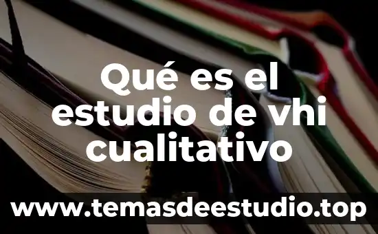 Qué es el proceso cualitativo de la investigación 3 Qué es el estudio de vhi cualitativo