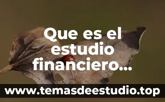 Que es grupo acp 5 Que es el estudio financiero segun autores