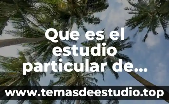 Que es indecencia significado 5 Que es el estudio particular de los delitos