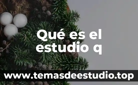 Que es lo q hacian en la cultura teotihuacana 7 Qué es el estudio q
