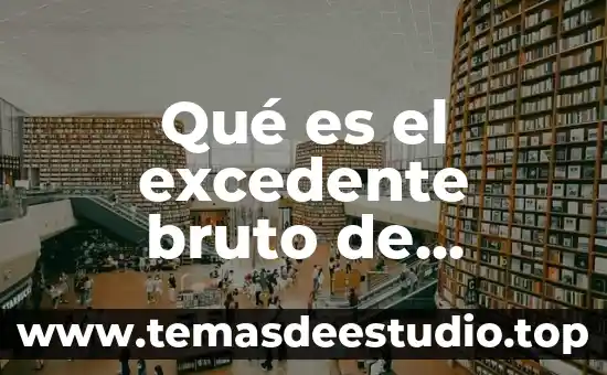 Qué es el excedente bruto de operación en la economía