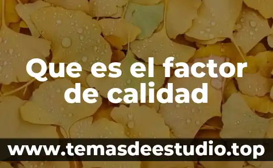 Que es el factor de calidad