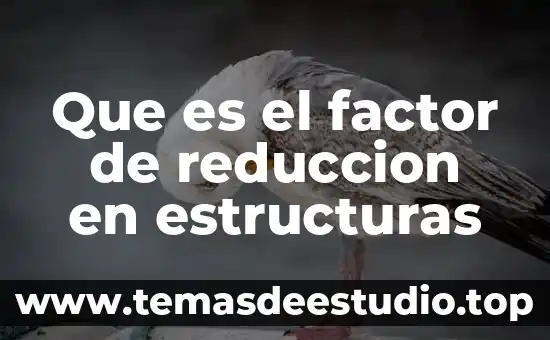 Qué es estructuras sociales de pecado den ejemplos 4 Que es el factor de reduccion en estructuras