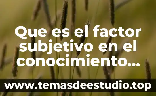 Que es el factor subjetivo en el conocimiento humano