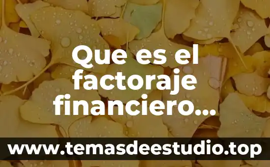 Que es el amor definición 5 Que es el factoraje financiero definicion