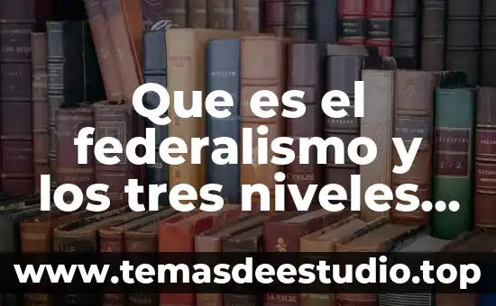 Qué es el imc niveles 3 Que es el federalismo y los tres niveles de gobierno