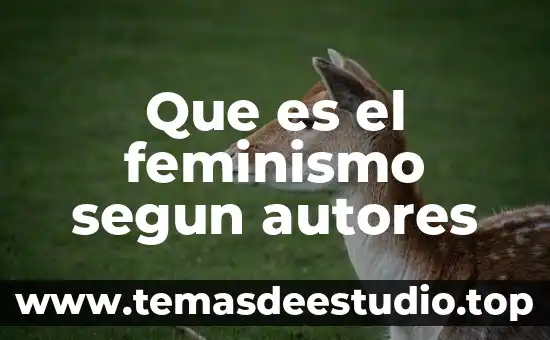 El feminismo: concepto real 7 Que es el feminismo segun autores