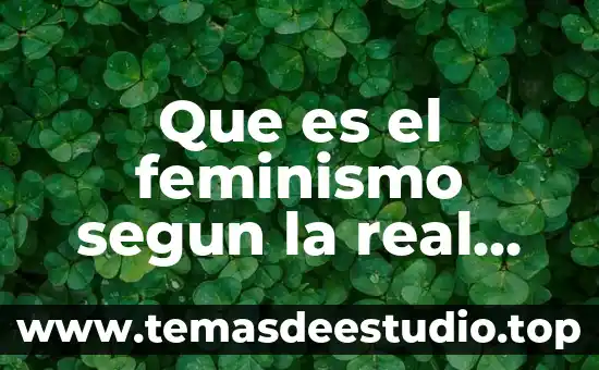El feminismo: concepto real 3 Que es el feminismo segun la real academia