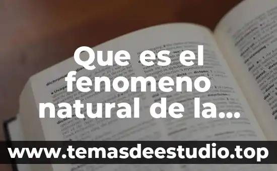 Que es in fenomeno fisico 3 Que es el fenomeno natural de la aurora austral