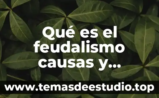 Qué es endometriosis causas y consecuencias 8 Qué es el feudalismo causas y consecuencias