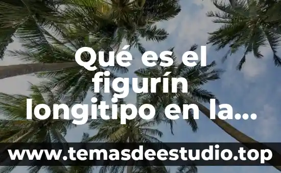 Que es la moda en mat 5 Qué es el figurín longitipo en la moda