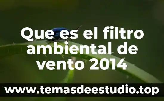 La vento xtreet 2014 que significa que es bi2 4 Que es el filtro ambiental de vento 2014