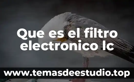 Que es regristro de resultados en el modo cientifico 3 Que es el filtro electronico lc