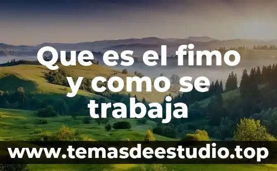 Qué es la geografía y qué trabaja 6 Que es el fimo y como se trabaja