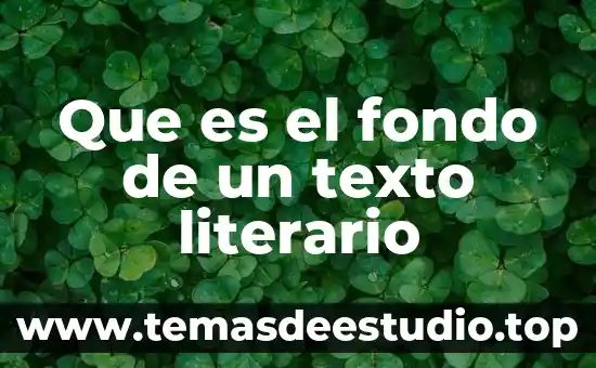 Que es la subjetividad del ensayo literario 7 Que es el fondo de un texto literario