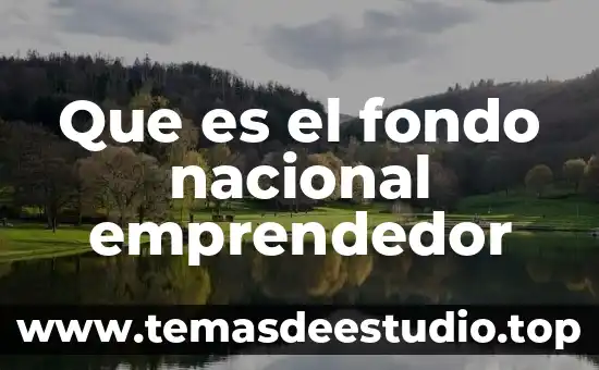 Que es el fisco nacional concepto 6 Que es el fondo nacional emprendedor