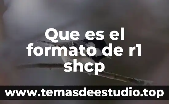 Qué es un formato de RSP Kaizen 8 Que es el formato de r1 shcp