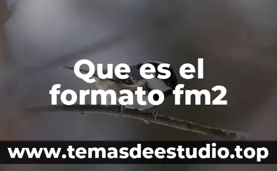 Que es la tradición según autores 4 Que es el formato fm2