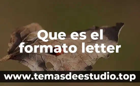 Que es el formato letter