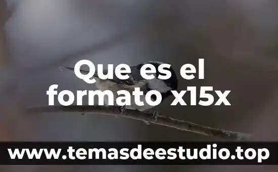 Que es el formato x15x