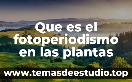 Que es el ciclo circadiano de las plantas 4 Que es el fotoperiodismo en las plantas