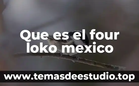 Que es lmesm en mexico 6 Que es el four loko mexico