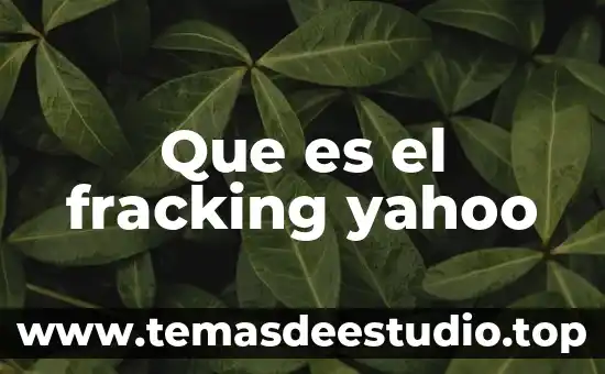 Qué es el estómago concepto 7 Que es el fracking yahoo