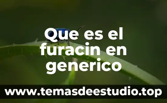 Qué es el nombre genérico de un producto 4 Que es el furacin en generico