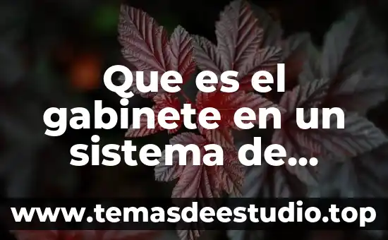 Que es el concepto de sistema 5 Que es el gabinete en un sistema de computo
