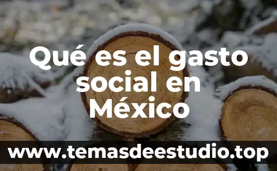 Qué es senante en México 8 Qué es el gasto social en México