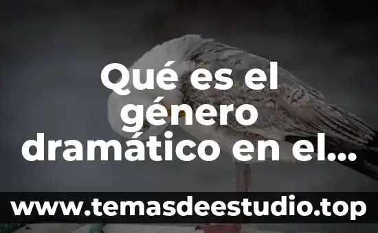 Que es la drama en el genero dramatico 8 Qué es el género dramático en el cine